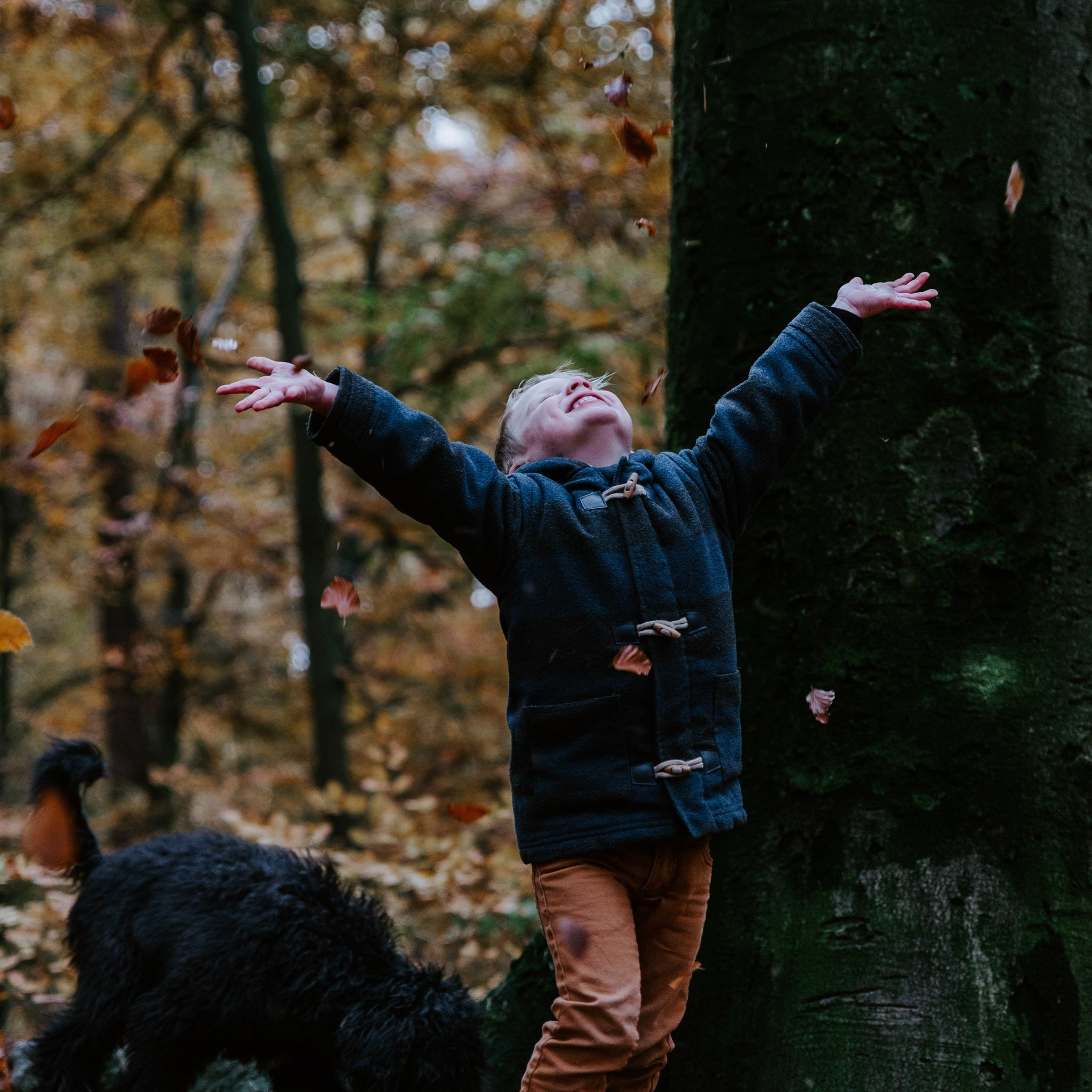 Boys' autumn wear